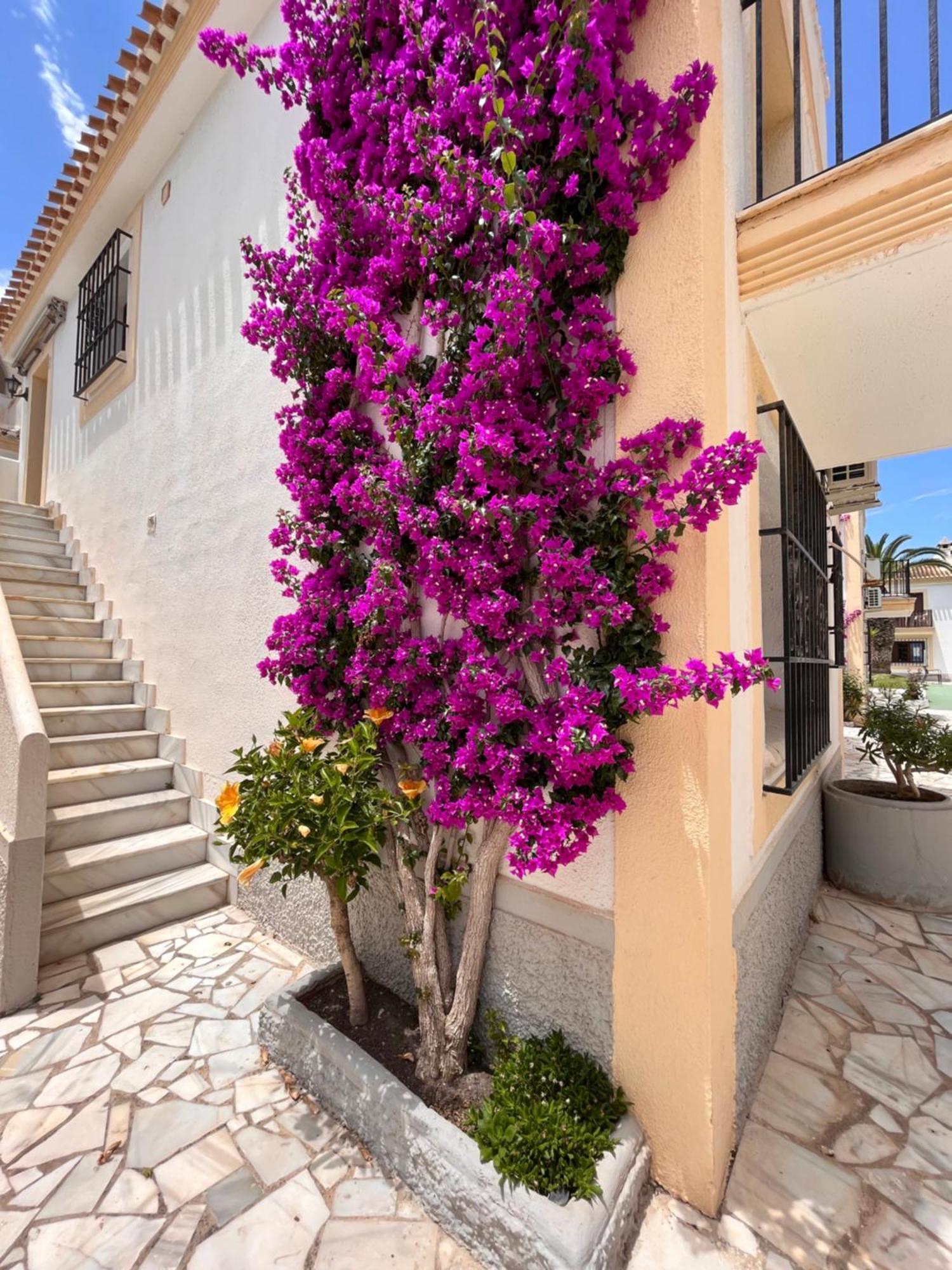 Apartamento Esquina Verde En Vera Coast Playas de Vera Bagian luar foto